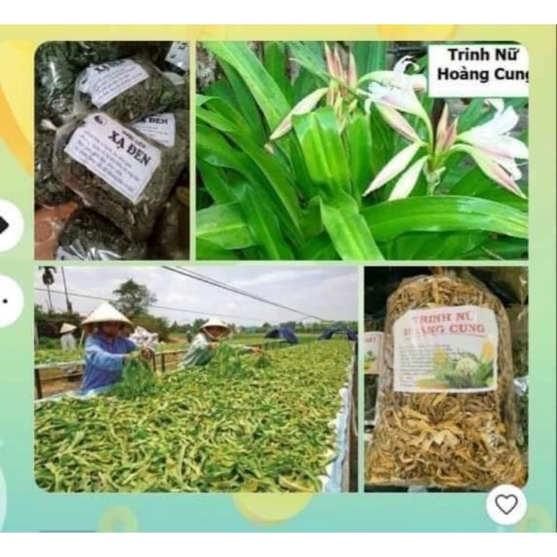 Trinh nữ hoàng cung hàng thơm.sạch sẽ (100gr -500gr)