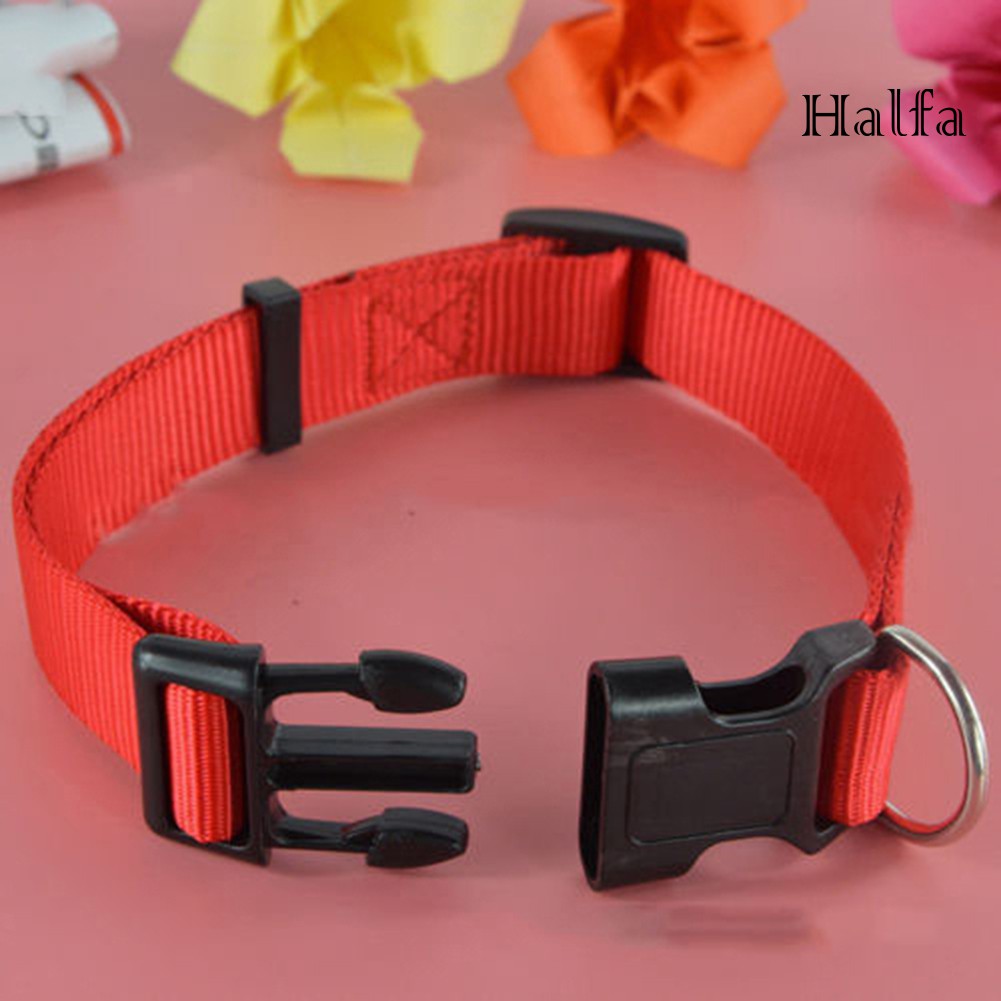 Vòng Cổ Nylon An Toàn Cho Thú Cưng