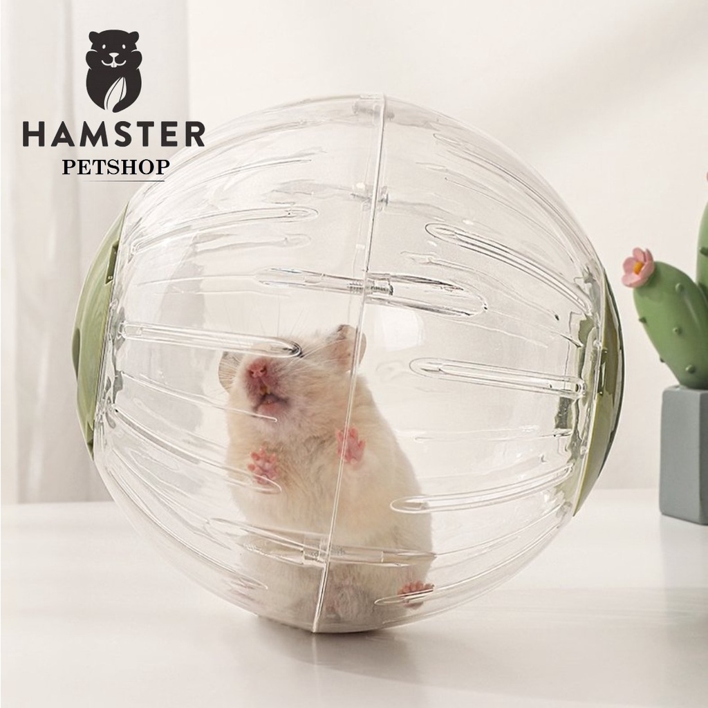 Bóng chạy mika hamster , sóc