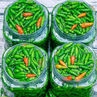 Hạt giống Ớt Xiêm - Ớt Thóc