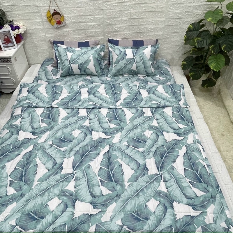 Ga gối cotton cotton bo chun, ga trải giường poly đủ size 1m2 đến 2m2 nhiều mầu (ib chọn mẫu)