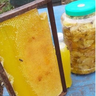 MẬT ONG BẠC HÀ _ ĐỒNG VĂN HÀ GIANG