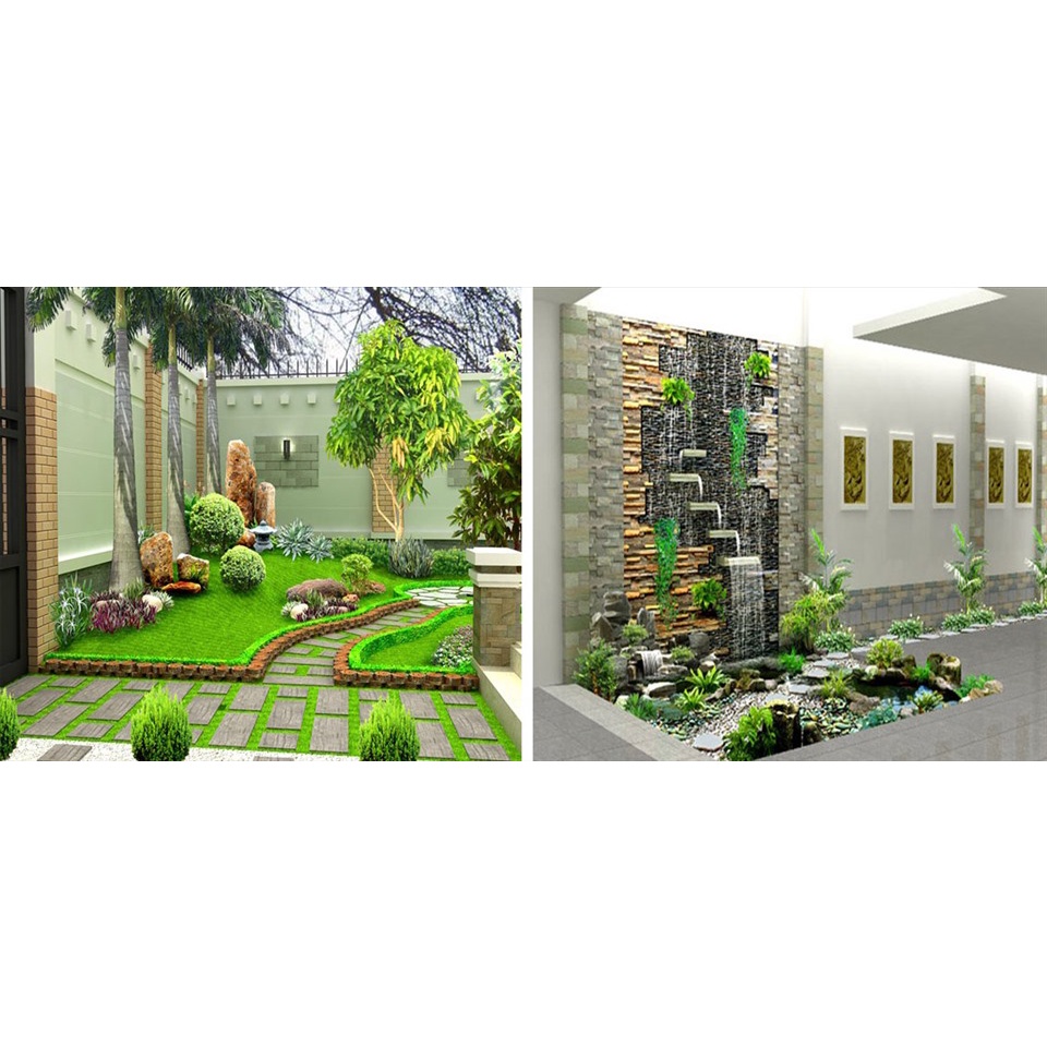 Hạt giống cỏ nhung nhật 1000 hạt