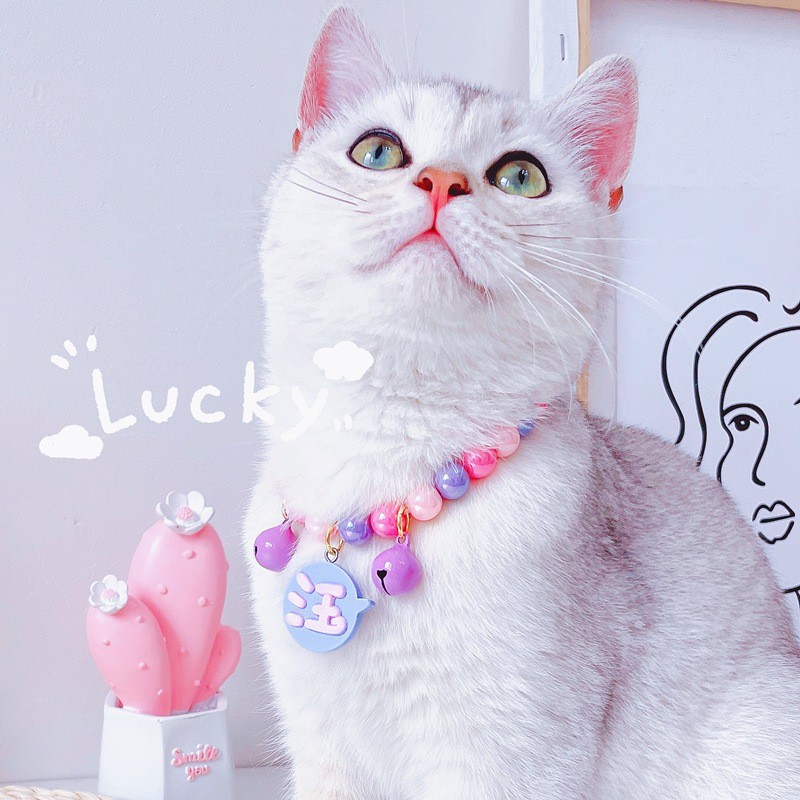 Vòng đeo cổ hạt ngũ sắc CAMQUYTSTORE cho thú cưng chó mèo