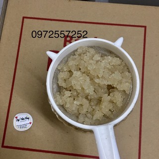 Set nuôi Water kefir nấm nước làm đồ uống có gá, bộ sp đầy đủ cho người mới nuôi