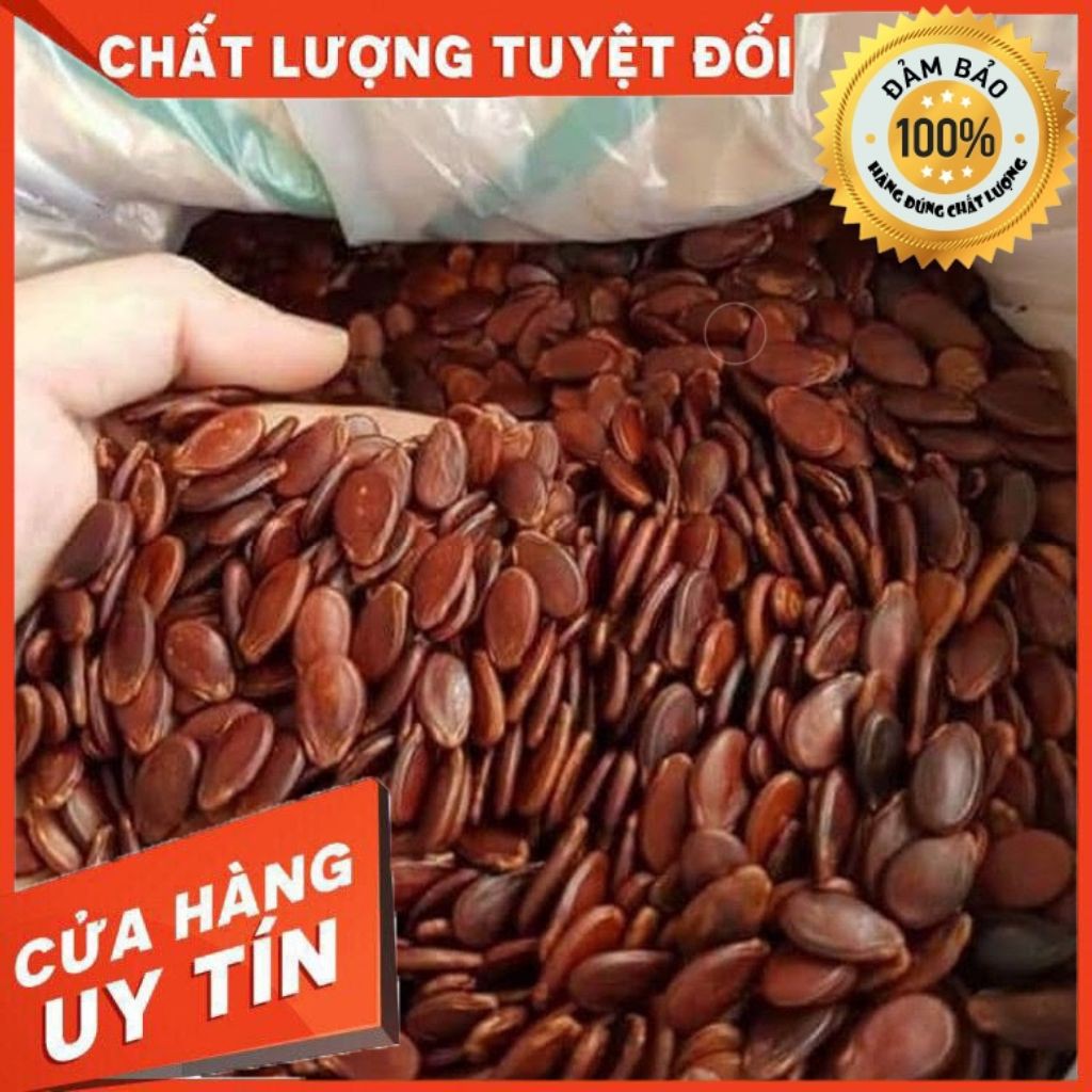 [GIÁ SỈ] HẠT DƯA KHÔNG TẨM MÀU RANG CỦI BÌNH THUẬN LOẠI ĐẶC BIỆT 500G