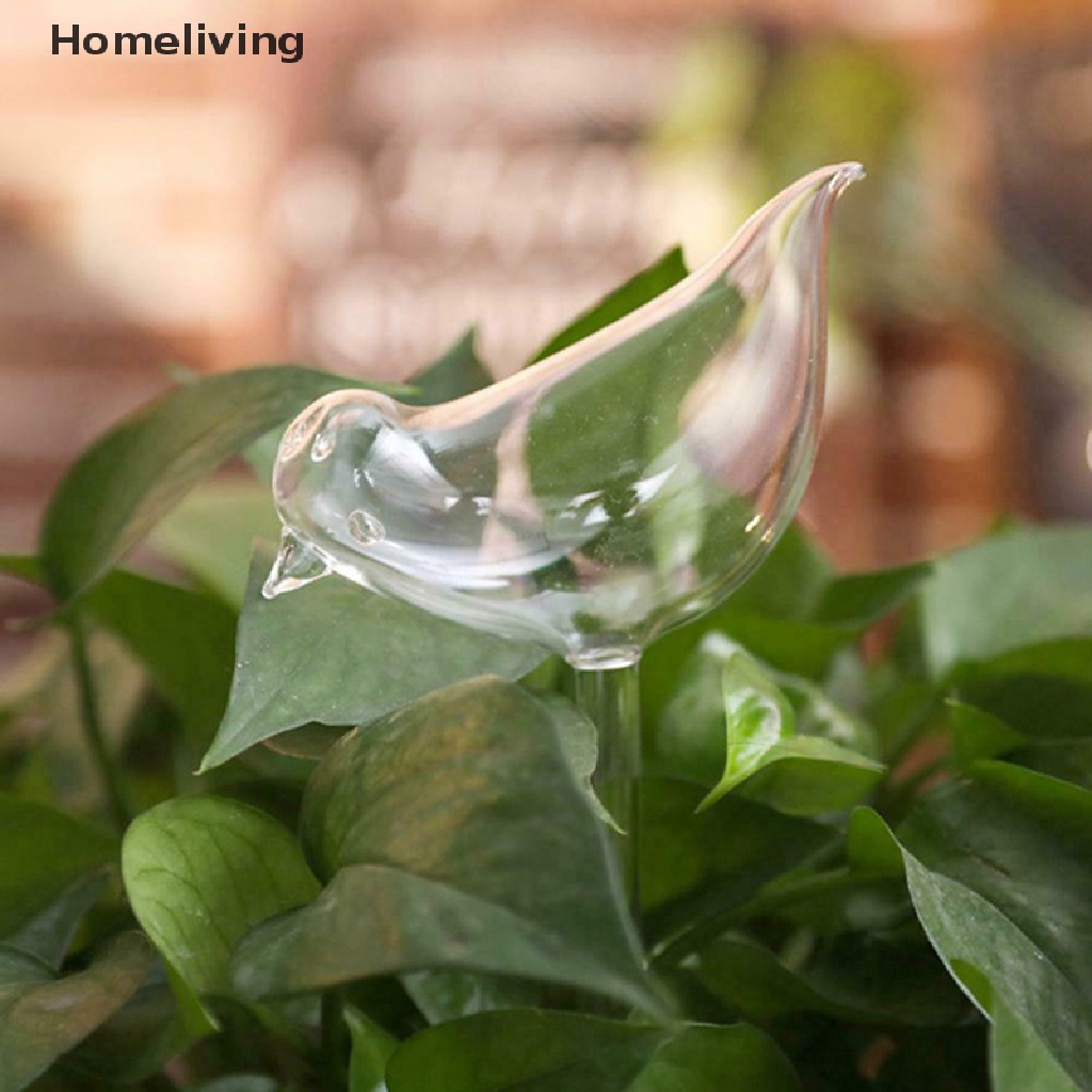 Bóng Đèn Trong Suốt Tưới Cây Tự Động Hình Chú Chim Độc Đáo