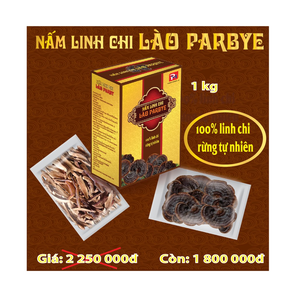 NẤM LINH CHI LÀO-PARBYE | BigBuy360 - bigbuy360.vn