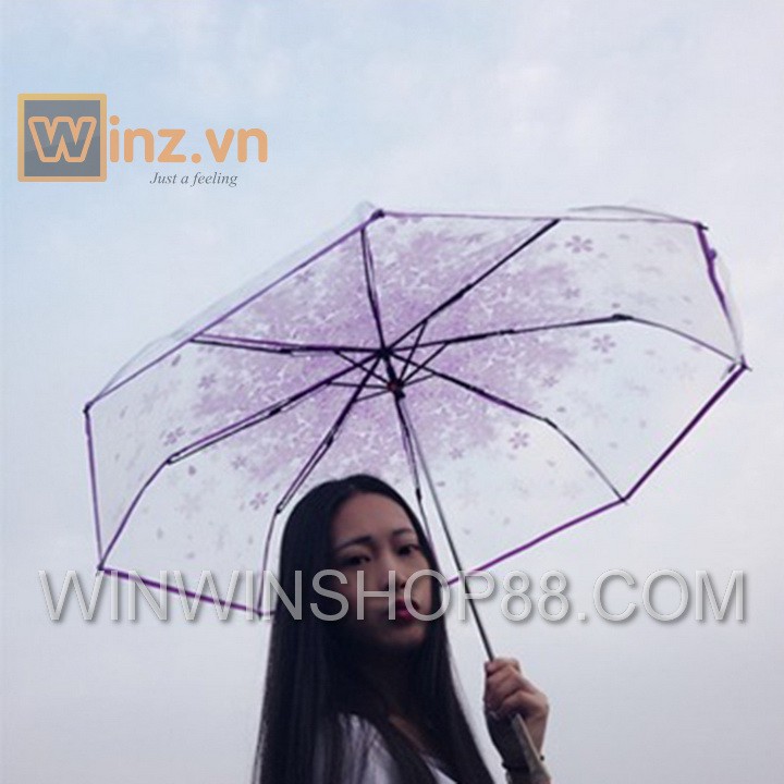 Dù xếp trong suốt hoa anh đào TẶNG KÈM MÓC KHOÁ VINTAGE AndHere