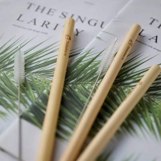Ống hút tre BAMBOOO ECO màu sắc tự nhiên bảo vệ môi trường sử dụng nhiều lần - 01 chiếc