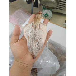 Combo 10 con mực khô + tặng thêm 2 con