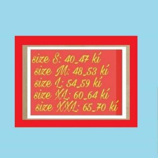 Áo công sở kiểu