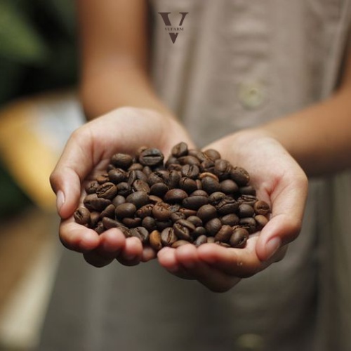 Cà phê Arabica, Robusta, cafe Cầu Đất từ Song Vũ Farm thơm nồng, đậm vừa chua nhẹ hậu vị ngọt cafe pha phin 500g | BigBuy360 - bigbuy360.vn