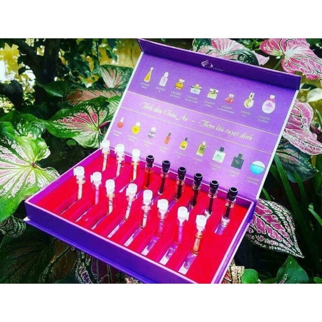 Bộ Tét 17 mùi chame chính hãng