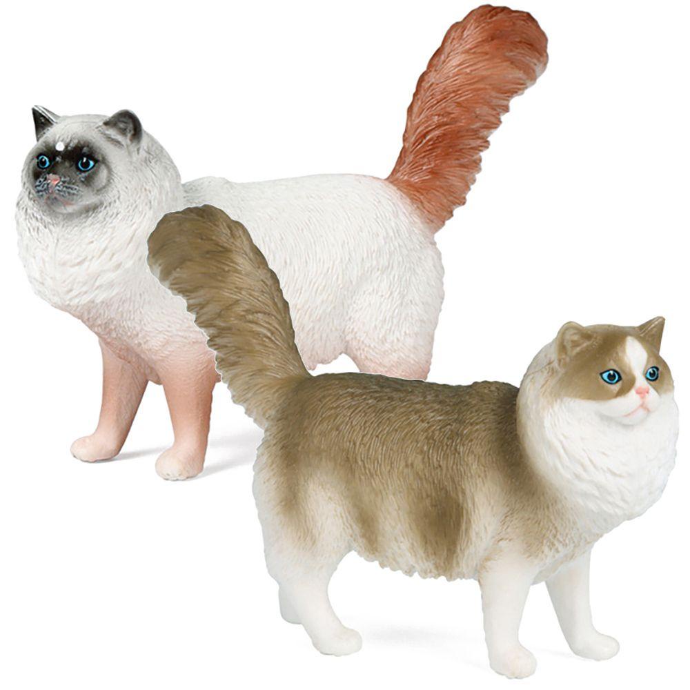 Mô Hình Ragdoll Đồ Chơi Khoa Học &amp; Mèo Tự Nhiên Giống Thật