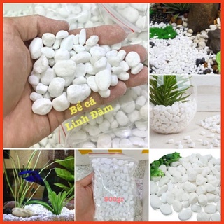 500gram Sỏi trắng trang trí bể cá - Chậu cây, tiểu cảnh
