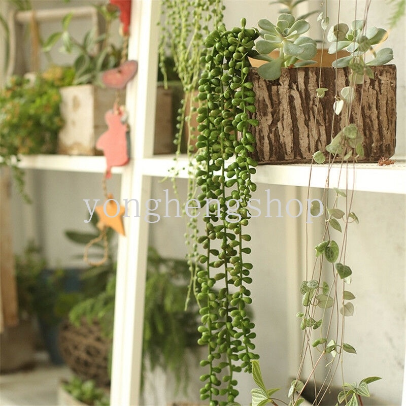 Cây Cảnh Giả Trang Trí Nội Thất Đẹp Mắt