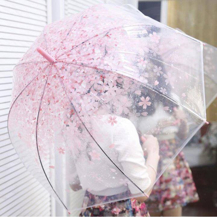 Ô dù trong suốt hoa văn 3D