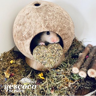Nhà Hang Chuột Hamster gáo dừa tròn 1 cửa || Xưởng gáo dừa Coco_decor