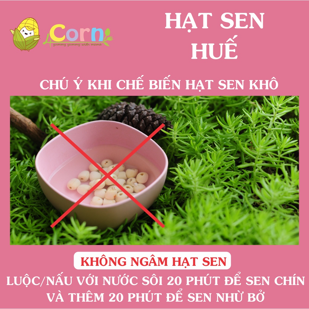 Hạt sen Huế khô tuyển chọn đặc biệt - Cho bé 6m+