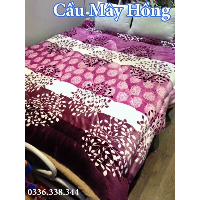 [ĐÓN TẾT] CHĂN LÔNG CỪU VIỆT NAM KHÔNG BỊ LO BÍ (Fanpage: Chăn Lông Cừu Việt Nam)