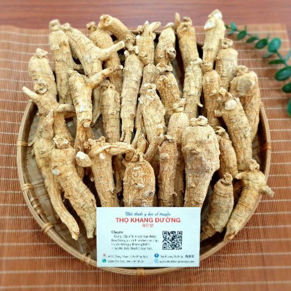 Nhân sâm Hoa Kỳ, Tây dương sâm thượng hạng hỗ trợ miễn dịch, tăng cường sức khỏe