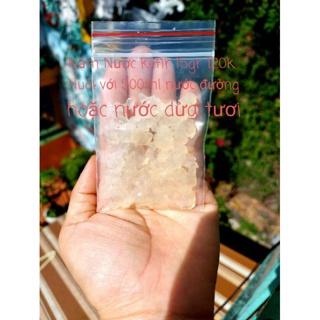 Nấm nước Kefir dừa (35 gr )SIÊU MẠNH .siêu sinh sôi