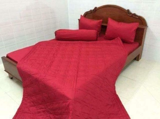 Drap cotton màu trơn Thắng Lợi.