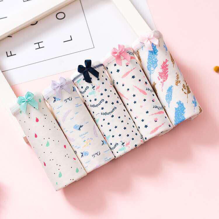 Set 5 quần lót nữ cao cấp bỏ trong túi zip