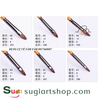 Cọ oval thân cam bán lẻ theo size [ Sugi Art Shop ]