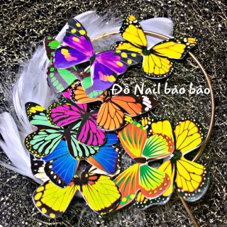 Combo bướm trang trí và vòng lông