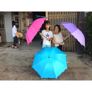 cOMBO Ô NỞ HOA + THẺ HỌC ONLINE