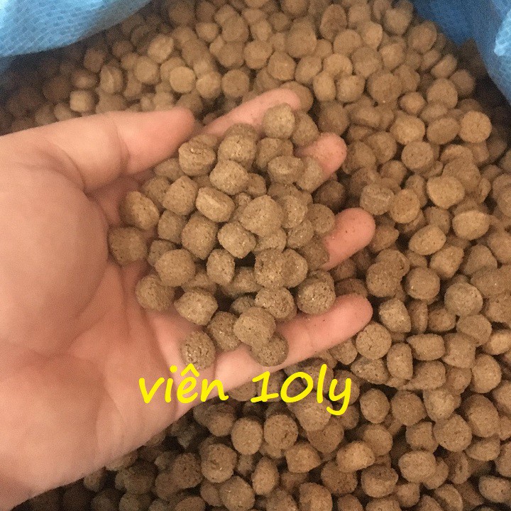 [1kg]Thức ăn cá Hà lan Inter 7005 cho cá ăn hoặc dùng câu cá|1KG cám cá inter 7005|mồi cám câu cá 7005