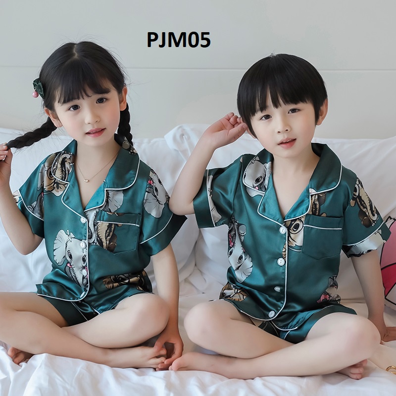Đồ đồ ngủ COCA KID cao cấp - bộ đồ cho bé chất lụa thoáng mát in hình cực đáng yêu Cho Bé Từ 8-39kg