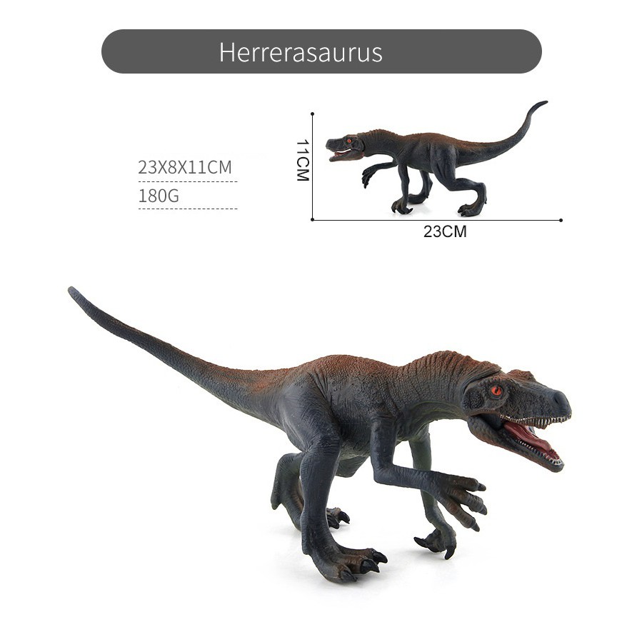 1031 - Mô hình khủng long Herrerasaurus