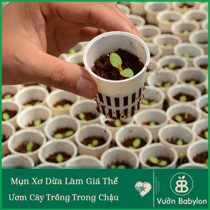 Mụn Xơ Dừa Đã Qua Xử Lý 5DM3 Giá Thể Mụn Dừa Trồng Cây