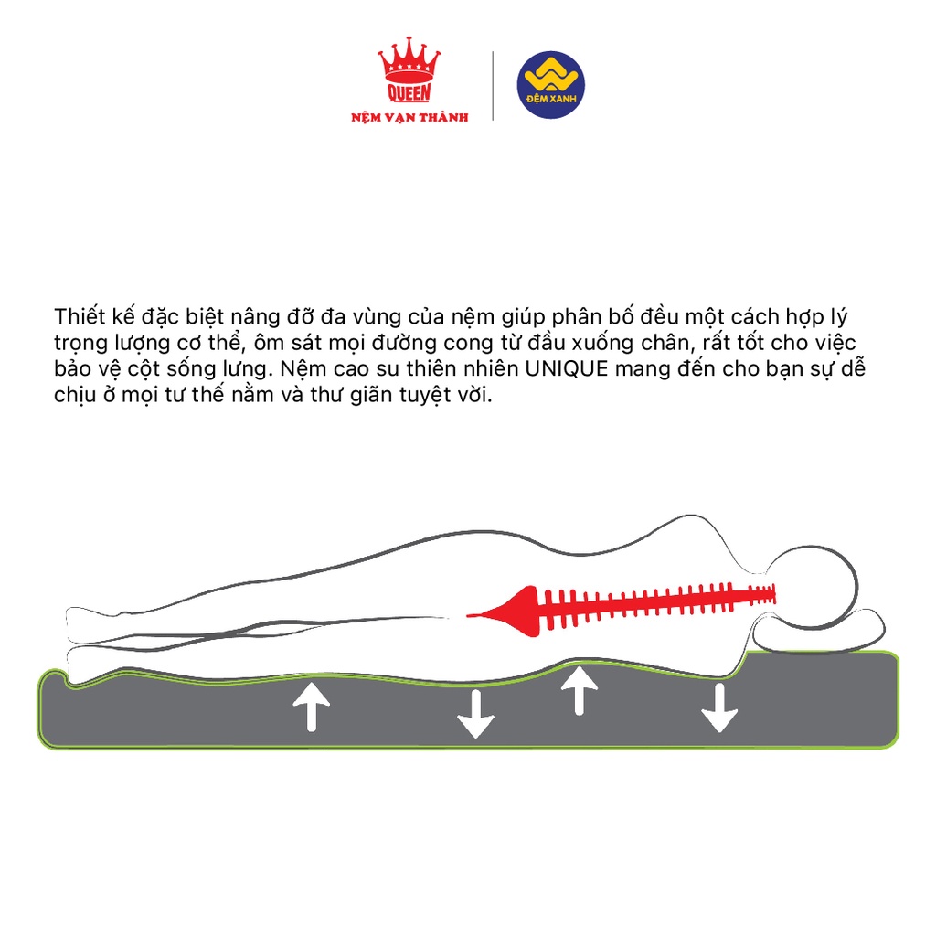 Đệm cao su Vạn Thành Massage Unique Plus