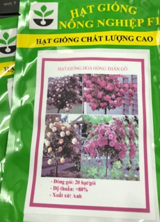 Hạt giống Hoa Hồng Thân Gỗ 🌹☘️
