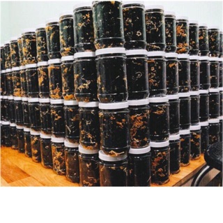 Rong biển cháy tỏi mè , 70gr/1 hủ