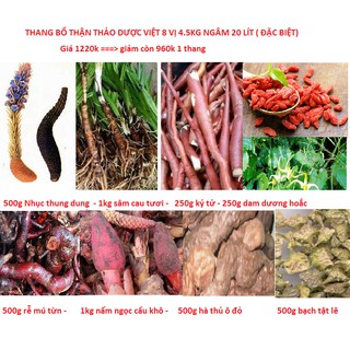 Thang bổ thận Thảo Dược Việt ( 2kg 8 vị bổ dương) ngâm 10 lít