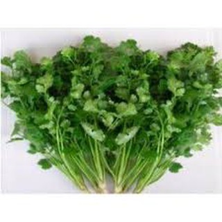 Hạt giống rau mùi tía (20G)