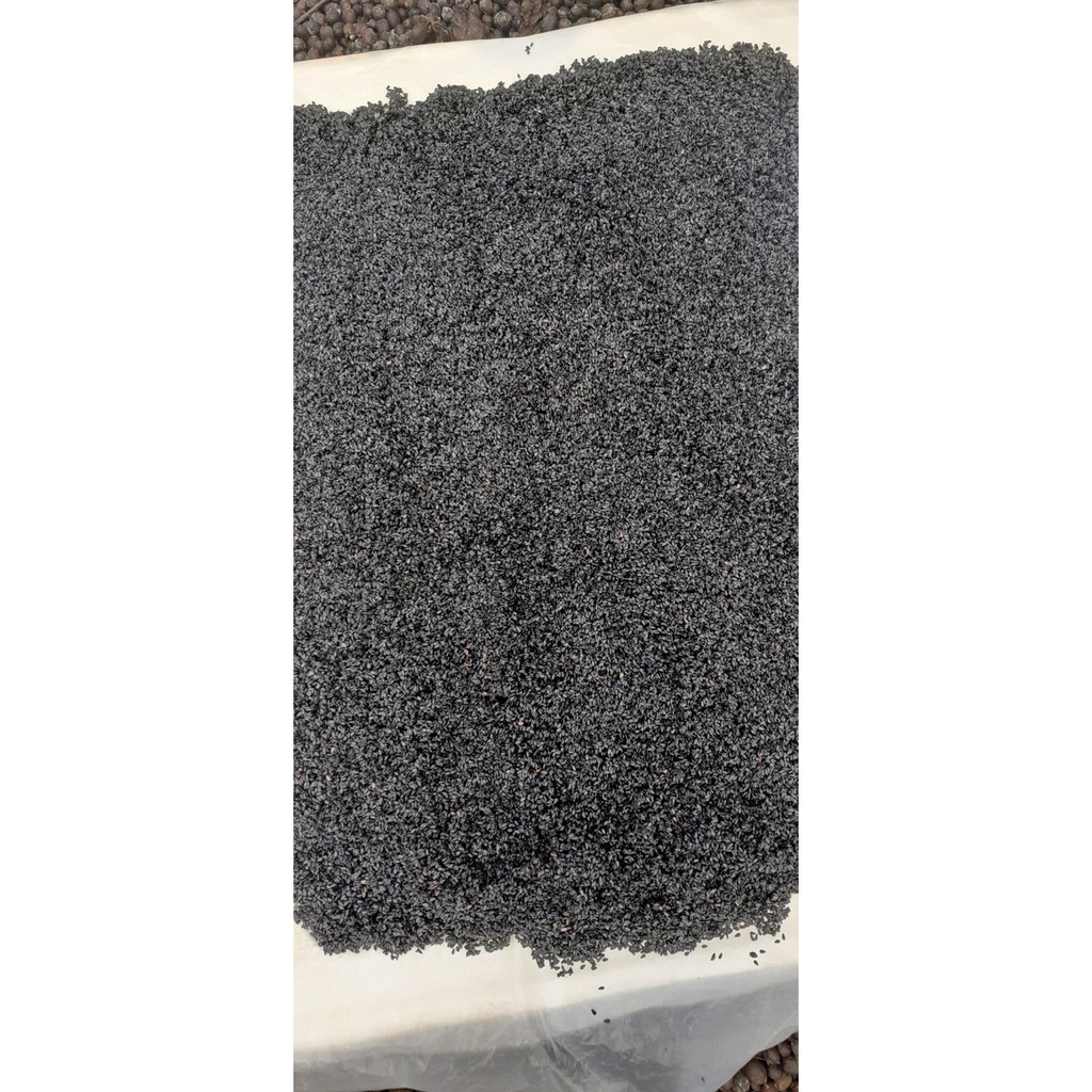 Mè đen rang củi, Mè đen/ Vừng đen Sạch Dak Lak rang sẵn 100g