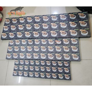 Chén sứ đựng thức ăn, nước (có 3 size)