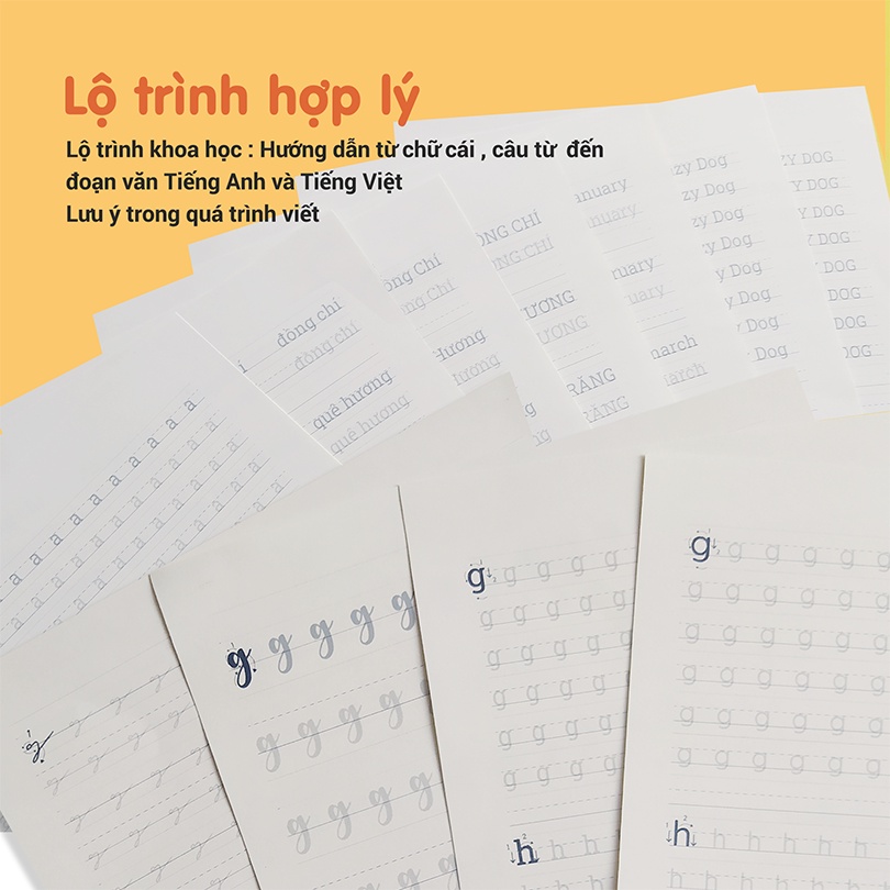 Template Giấy Sổ Còng Luyện Chữ Handwriting Dành Cho Người Mới Luyện - Ong Mặt Bự