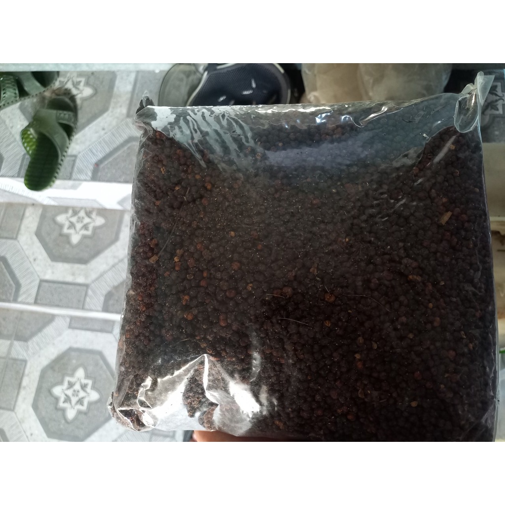 Hạt giống xạ đen 500gram