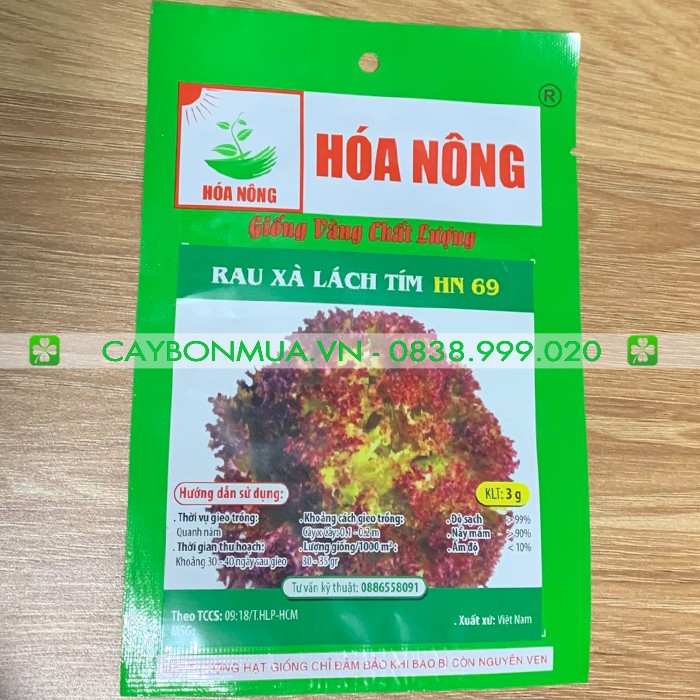 Hạt Giống Rau Xà Lách Tím Gói 3g - [Độ Sạch &gt;99%] - Giống Vàng Chất Lượng