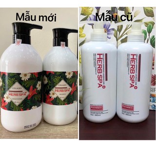 💖 FREESHIP 💖 DẦU GỘI CẶP CAO CẤP HERB SPA