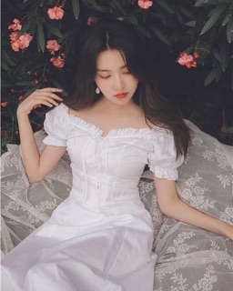 Đầm bẹt vai