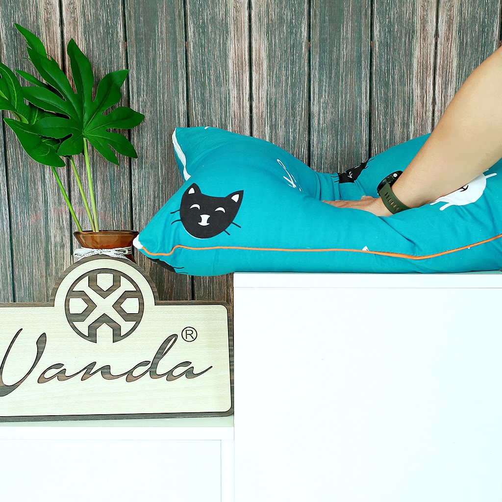 Ruột gối đầu VANDA bông gòn cao cấp mẫu mèo xanh