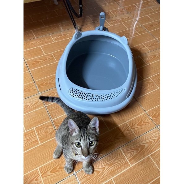 Khay cát vệ sinh cho mèo TẶNG XẺNG - Bồn Thau cát vệ sinh cho mèo Hoshi Pet KM06